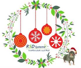 Adventszeitkarte mit Baumkugeln an gruenem Kranz von der RSD Systeme GmbH Dorsten
