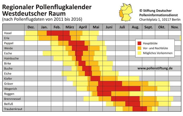 Pollenflugkalender Westdeutscher Raum mit Daten, die von 2011-2016 von pollenstiftung.de erhoben wurden