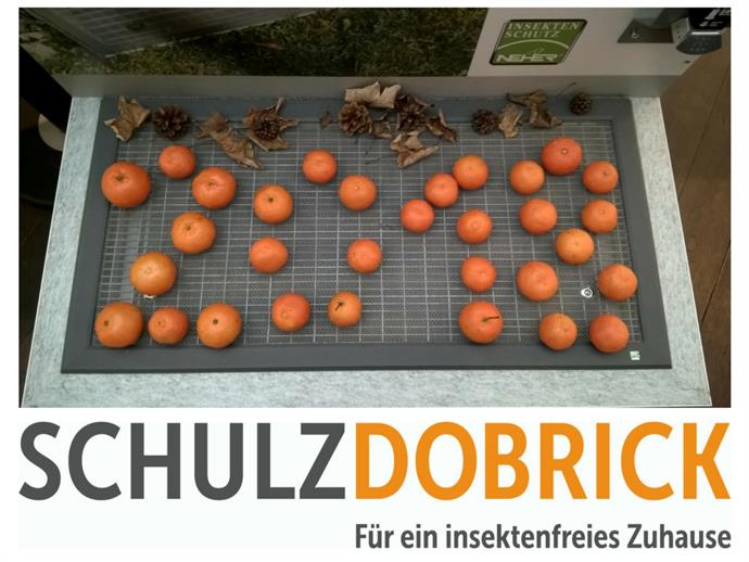 Firmenumbenennung Schulz-Dobrick in Blog